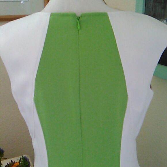 Ellen Tracy Beautifully Seamed Colorblock Dress - Picture 8 of 11